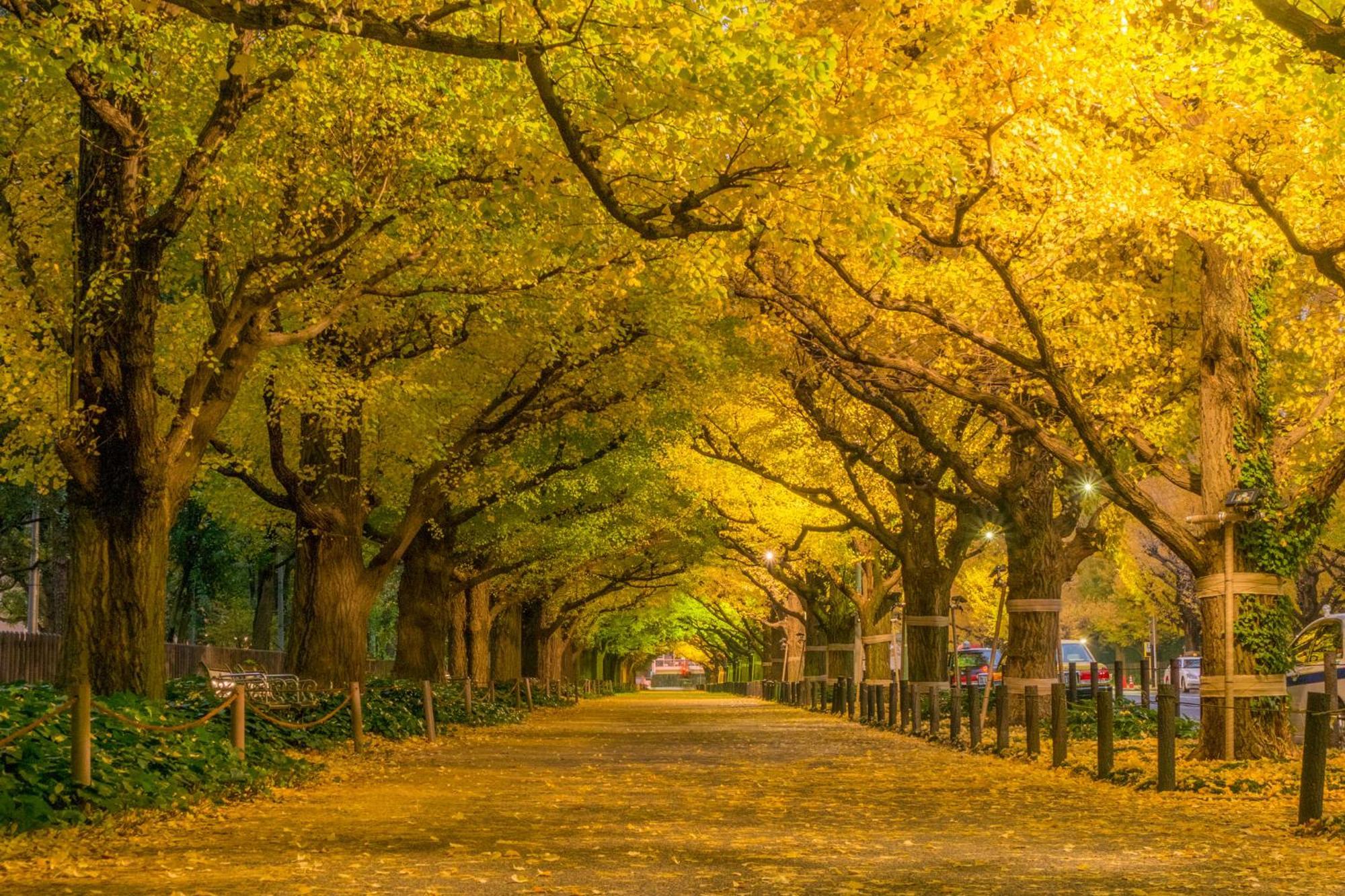 The Westin Tokyo Hotel Luaran gambar